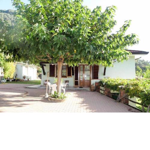 Ferienhaus in Camaiore mit Großer Terrasse