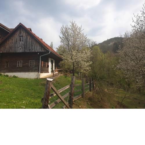 Ferienhaus Kleissner