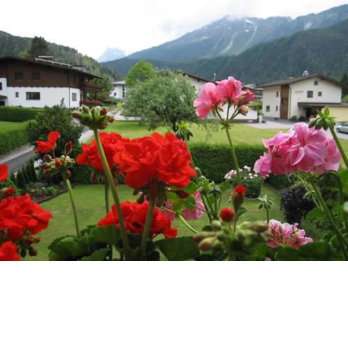 Ferienhaus Rosa