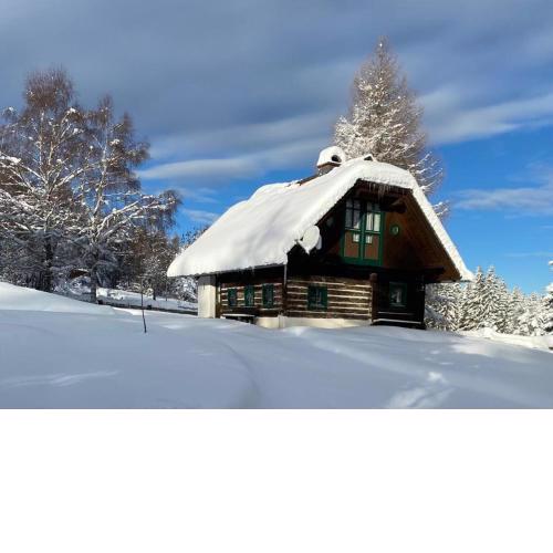 FERIENHAUS WALDTRAUM