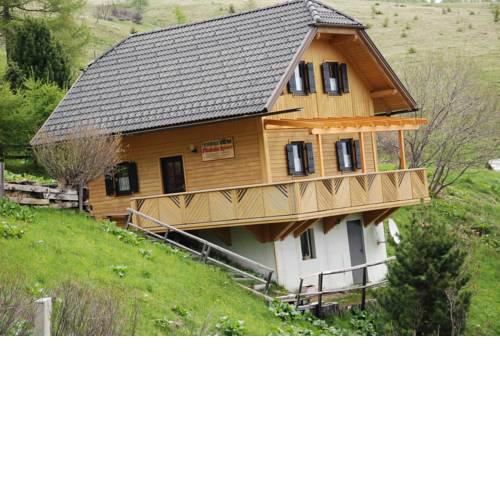 Ferienhaus Wilfried Nockalm Quintett