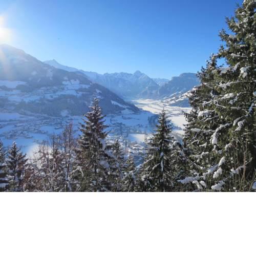 Ferienhaus Zell im Zillertal 420S