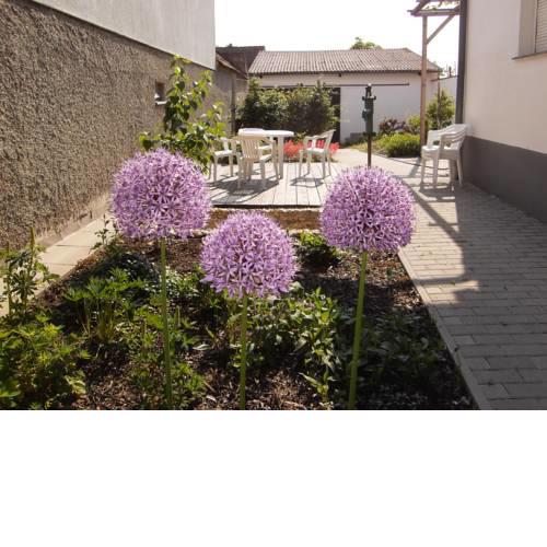 Ferienhäuser Sonnenhof - Mönchhof