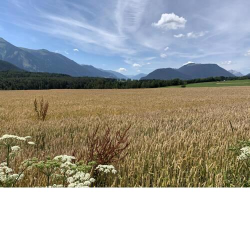 Ferienwohnung am Bauernhof