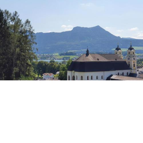 Ferienwohnung am Mondsee