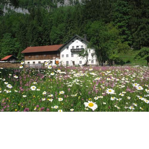 Ferienwohnung Bluntaumühle