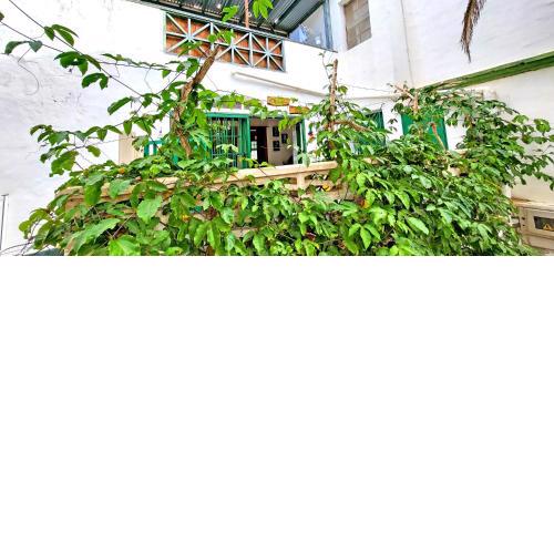 Ferienwohnung Green Palm in Costa Calma