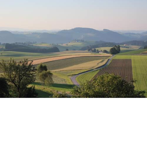Ferienwohnung im Mühlviertler Panorama Vierseithof
