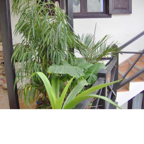 Ferienwohnung mit kleiner Innenhof-Terrasse im mediterranen Stil