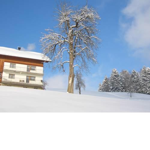 Ferienwohnung Panorama