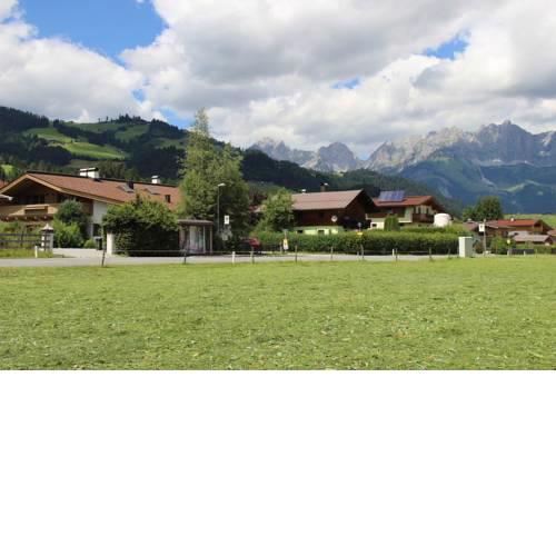 Ferienwohnung zum blauen Elefanten