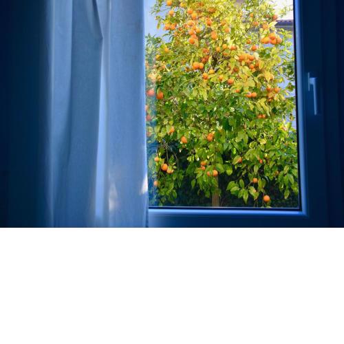 FeWo SOLE mit Garten, Terrasse und einen atemberaubenden Blick