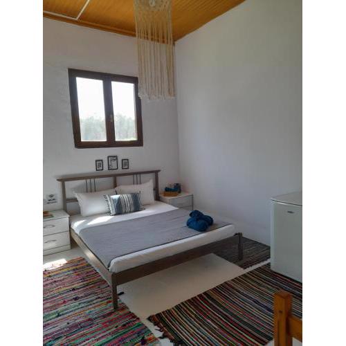 FG Suite 1