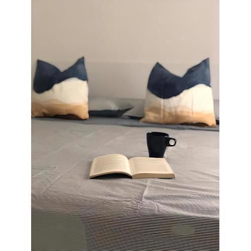 Ficurinia Bnb
