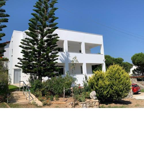 Fig and Olive Apartment (Olive)