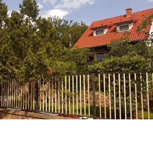 Fig Tree house