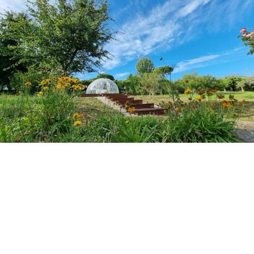 Finca Bouzas