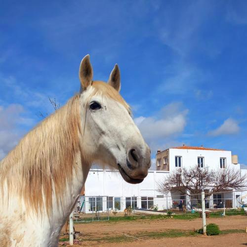 Finca Caballito de Mar