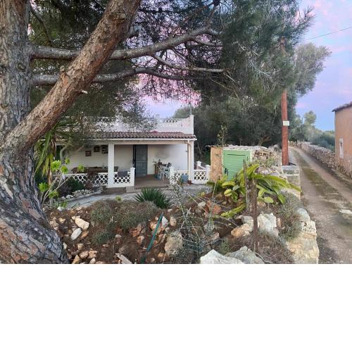Finca Casa Farah