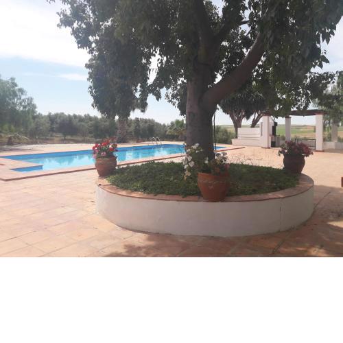 Finca Castellares
