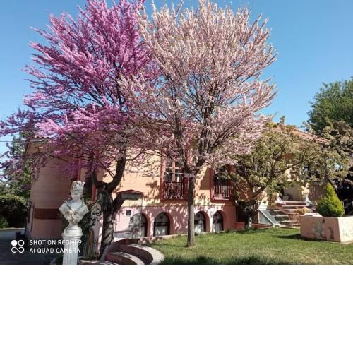 Finca DeNuñez