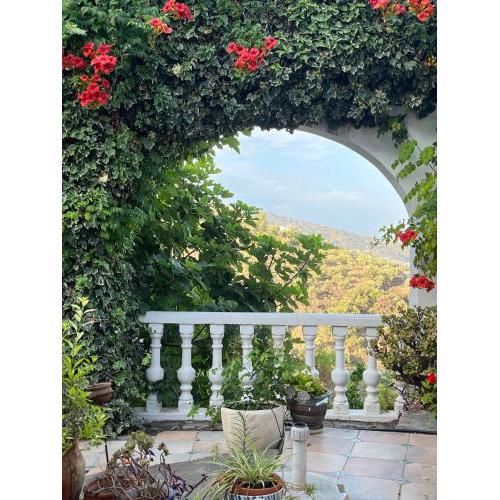 Finca Ellepa