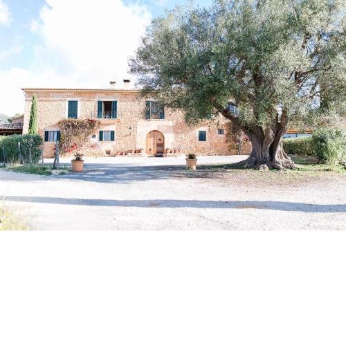 Finca Es Cabàs