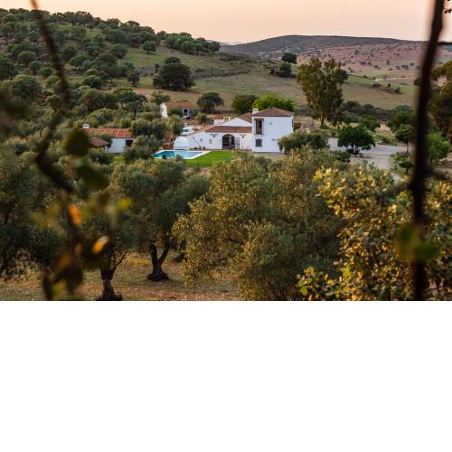Finca Las Picazas