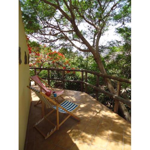 Finca Los Dioses