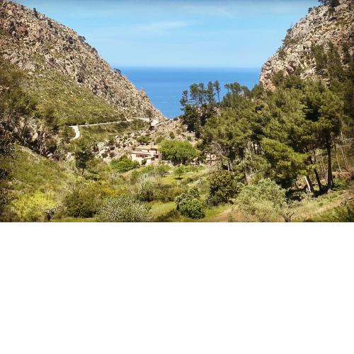 Finca Ses Fontanelles