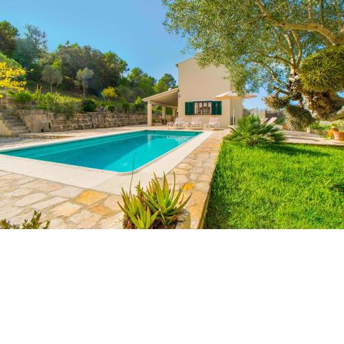 Finca SON VADO