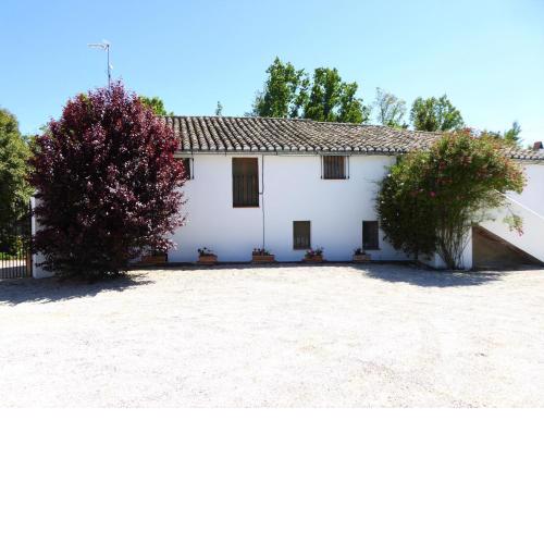 Fincaretama Farmhouse Apartment Ronda