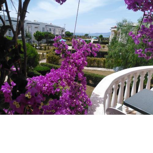 Flamingo Country Club, Perfect Sea and Lake View, Short-Term Rental, Bodrum, "D"