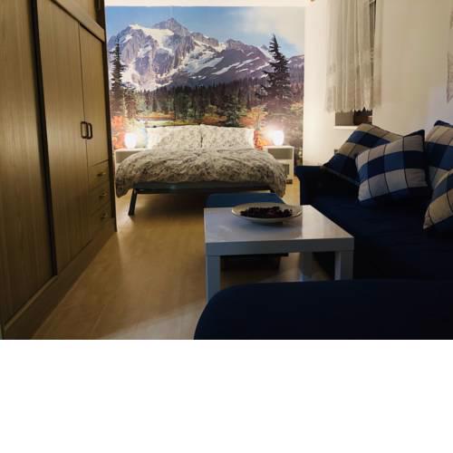 Flat 123 ubytování pod sjezdovkou