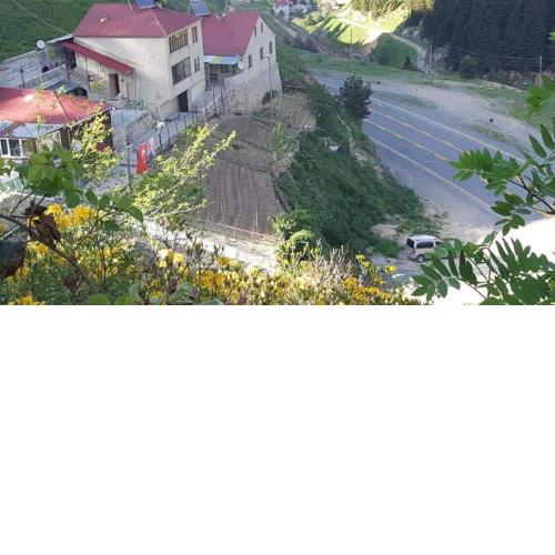 Flat for rent in mountain, nature, pine trees