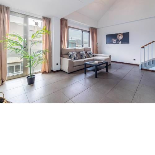 Flatguest Tabaiba II