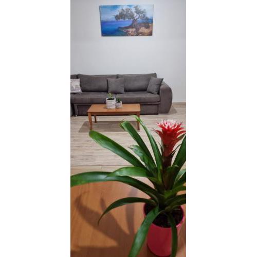 Floral apartment