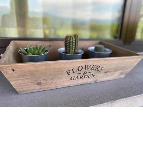Flowers and garden apartment