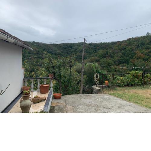 Foglia di Quercia