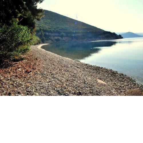 Fokiotripa (lovely villa on an enchanting beach)