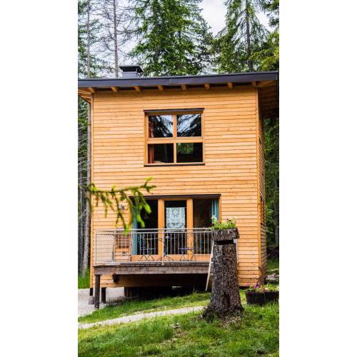 Forest Chalet Resort FELIZITAS