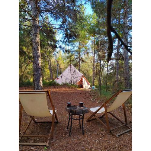 Forest Days