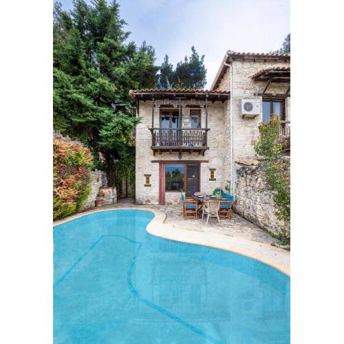 Forest stone Villa with pool