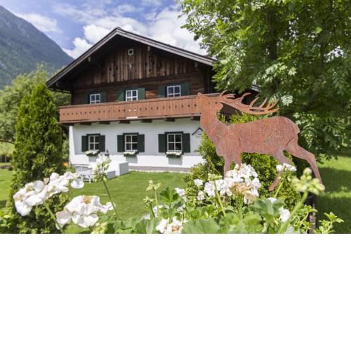 Foresthouse-Holidaysun