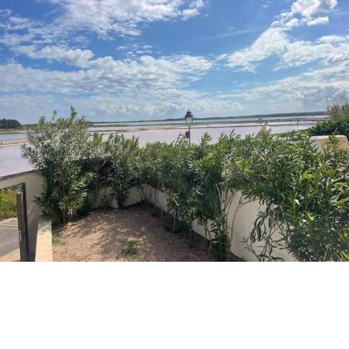 Formentera Sea Views - Ses Salines Amazing House