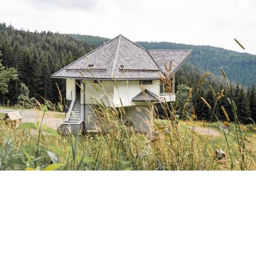 Forsthaus Gray 4