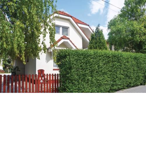 Four-Bedroom Apartment in Siofok