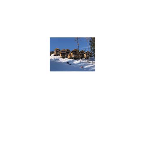 Four-Bedroom Holiday Home in Pichl/Schladming