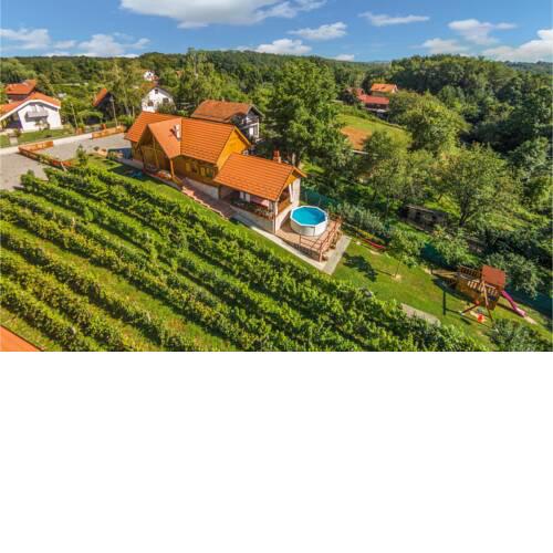 Four-Bedroom Holiday Home in Velika Buna