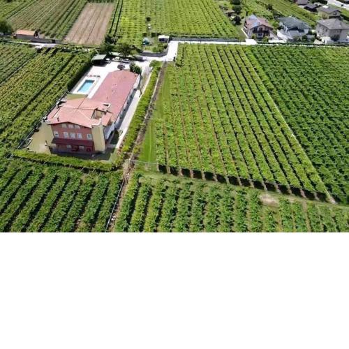 Fra i castelli della Vallagarina
